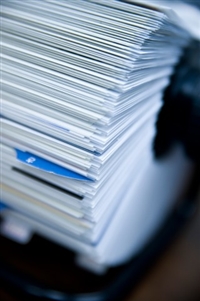 �\�����e�Ŏؓ������܂�